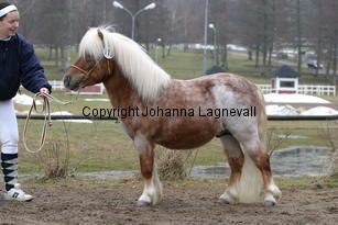 primoravfriheten_6272.jpg