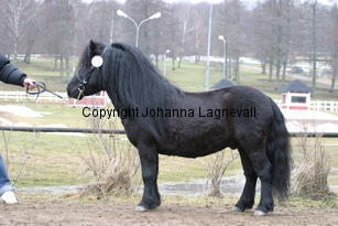 slattensbonzo_6300.jpg