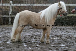 stjarnenspatrick_6420.jpg
