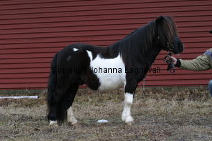 stuartvdzandkamp_6311.jpg