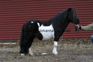 stuartvdzandkamp_6312.jpg