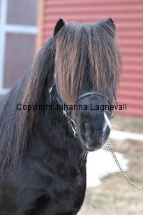 stuartvdzandkamp_6318.jpg