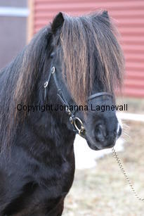 stuartvdzandkamp_6321.jpg