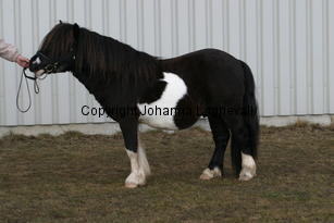 stuartvdzandkamp_6432.jpg