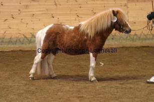 testimg_6350.jpg