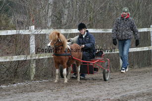 valentinoiivomellernbrook_6246.jpg