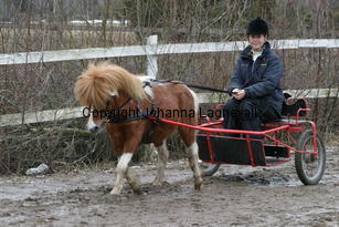 valentinoiivomellernbrook_6247.jpg