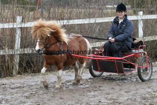 valentinoiivomellernbrook_6248.jpg