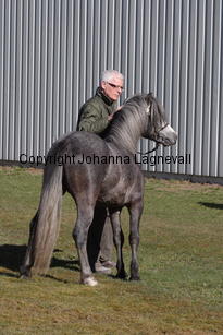 colnetaboo_4963.jpg