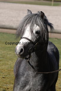 colnetaboo_4968.jpg