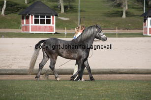 colnetaboo_9029.jpg