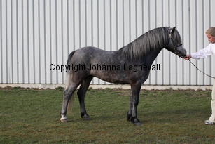colnetaboo_9413.jpg