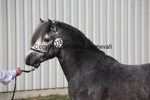 colnetaboo_9417.jpg