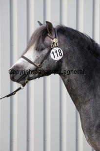 colnetaboo_9421-2.jpg