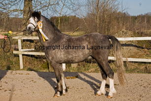 ekbackensjackfrost_9489-2.jpg
