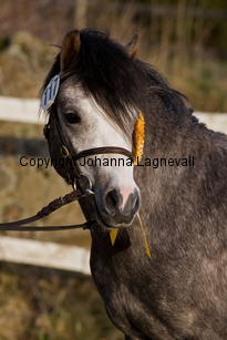 ekbackensjackfrost_9497-2.jpg