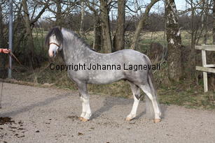 molstabergslysander_9424.jpg