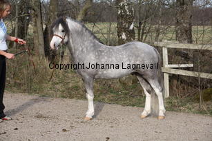 molstabergslysander_9439.jpg