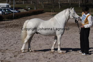 moondelightidefix_4996.jpg