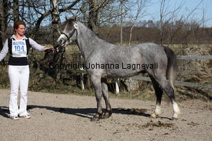 champion_9309.jpg