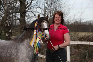 cwrtycadnomeredydd_9509.jpg