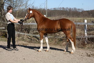fulnahosary_9336.jpg