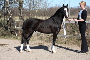 kenwoodsrightroyal_9330.jpg