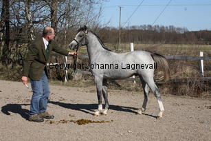 kulltorpshampus_9288.jpg