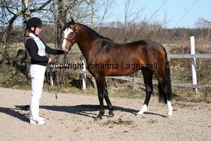 simbergfender_9311.jpg