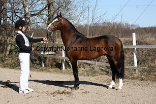 simbergfender_9313.jpg