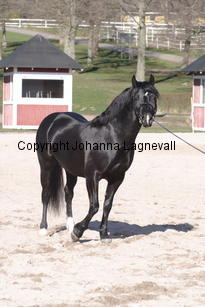 southcoastblackjack_4945.jpg