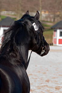 southcoastblackjack_4961-2.jpg