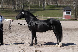 southcoastblackjack_5031.jpg