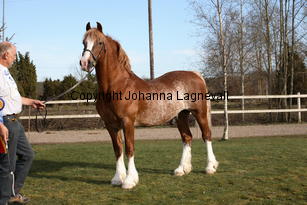 swalesmoorbreninaur_9384.jpg