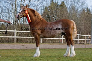 swalesmoorbreninaur_9386-2.jpg