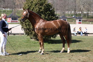 bcapriole_9129.jpg
