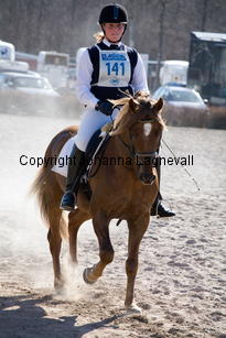 bcapriole_9285-2.jpg