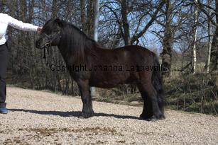 alvasenslatcho_9697.jpg