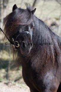 alvasenslatcho_9699-2.jpg