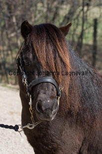 censation_9706-2.jpg