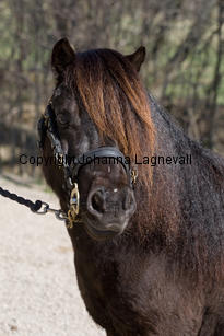 censation_9708-2.jpg