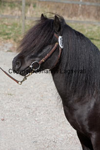 emmeroshamlet_9626-2.jpg