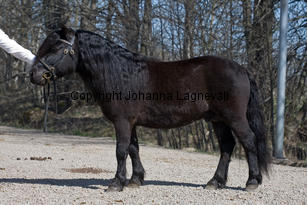 hamrashurricane_9685-2.jpg