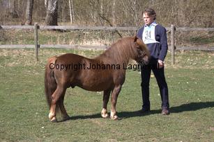 rosenhagaslyric_9648.jpg