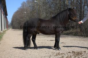 rossmonsjackmani_9674.jpg