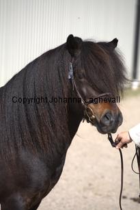 rossmonsjackmani_9676.jpg