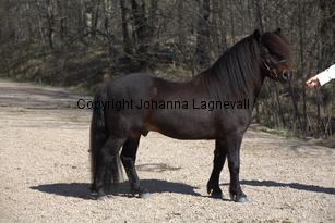 rossmonsjackmani_9677.jpg