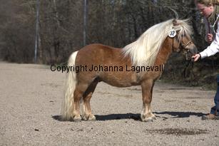 skapperodsaugustus_9712.jpg