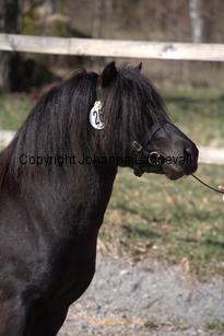 talismanafjaboruder_9603.jpg