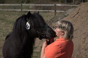 talismanafjaboruder_9612.jpg